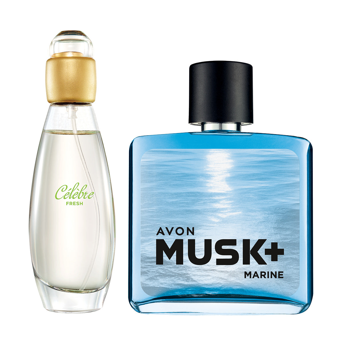 Lot Duo Celebre Marine