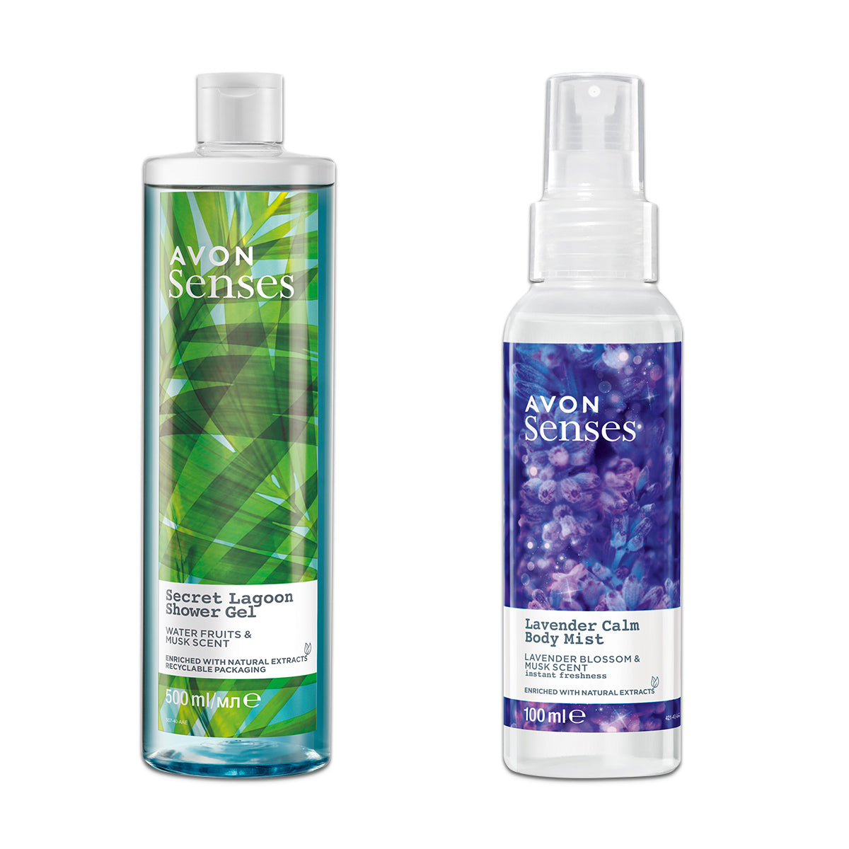 Lot senses Lagon