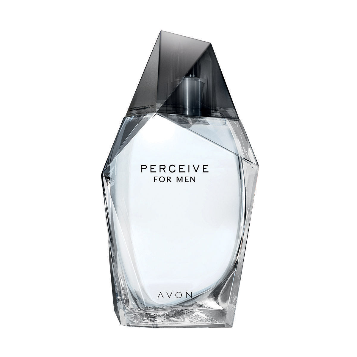 Perceive Eau de Toilette pour Lui 100ml